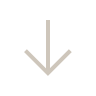 Arrow White Icon