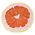 104_Grapefruit_Varietal-2_Pummelo_slice-thumbnail.png
