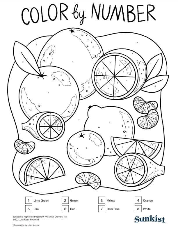 Color by number activity with citrus