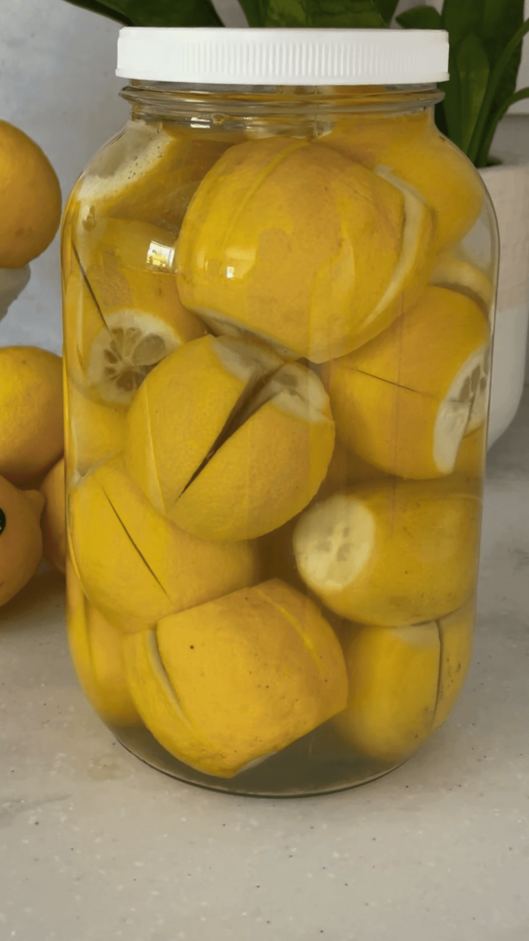 Thanh Preserved Lemons Step 4